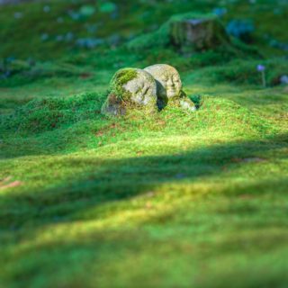 jordy-meow-OQbppjf5ouc-unsplash Iyashi Dôme foret japonaise