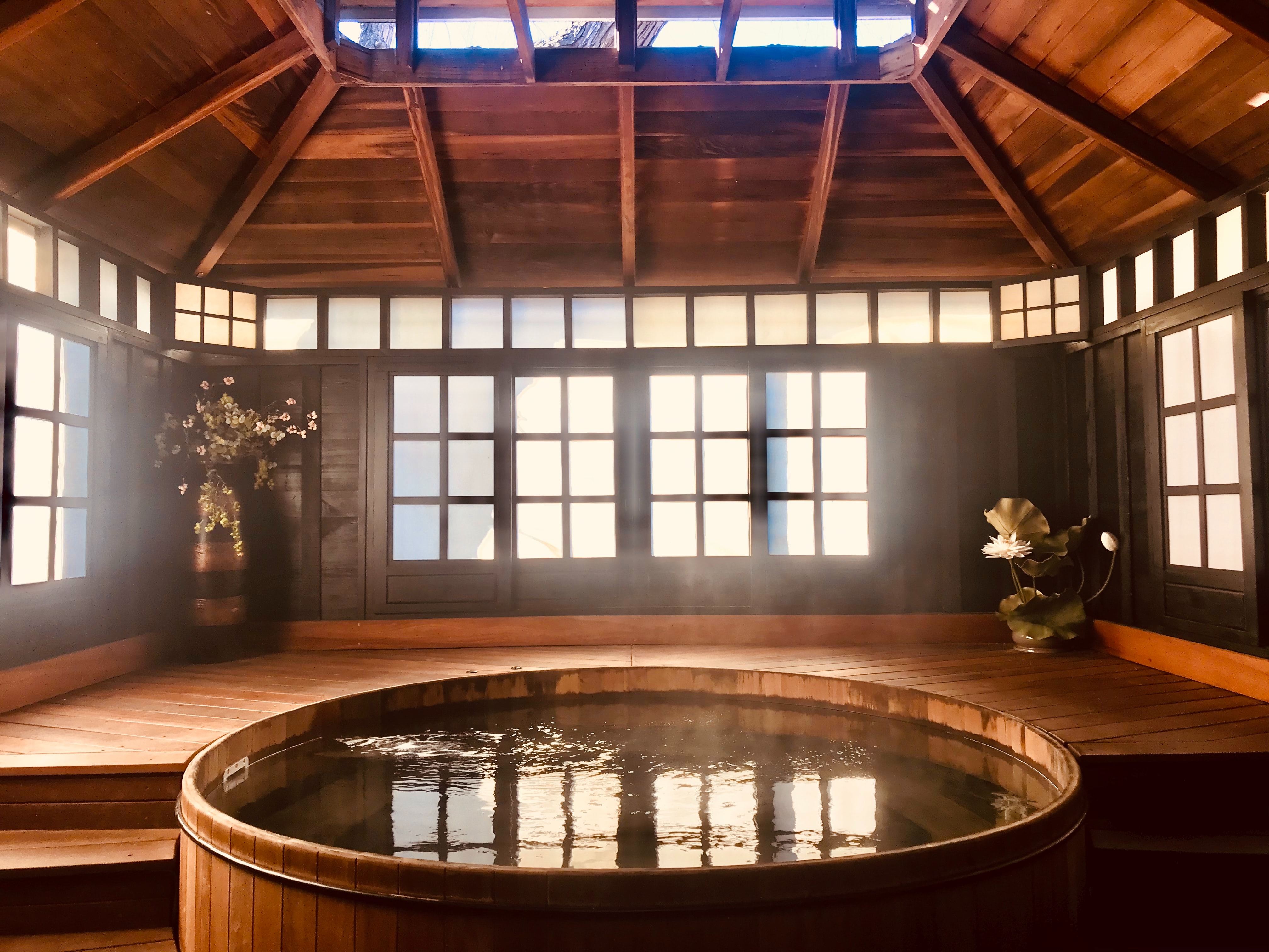 hot spring iyashi Dôme