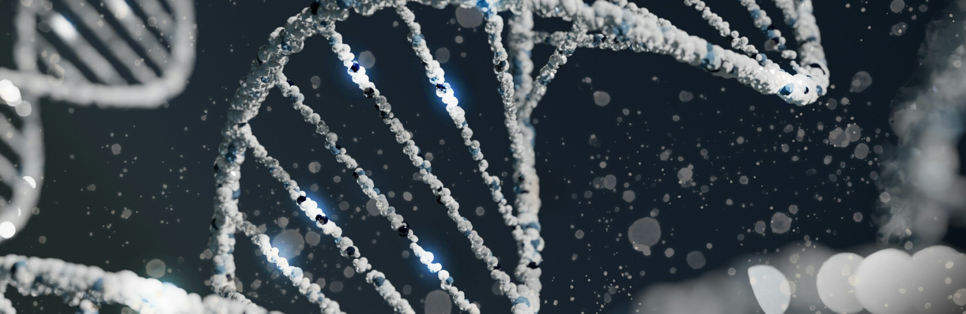 sangharsh-lohakare-Iy7QyzOs1bo-unsplash sangharsh-lohakare-Iy7QyzOs1bo-unsplash