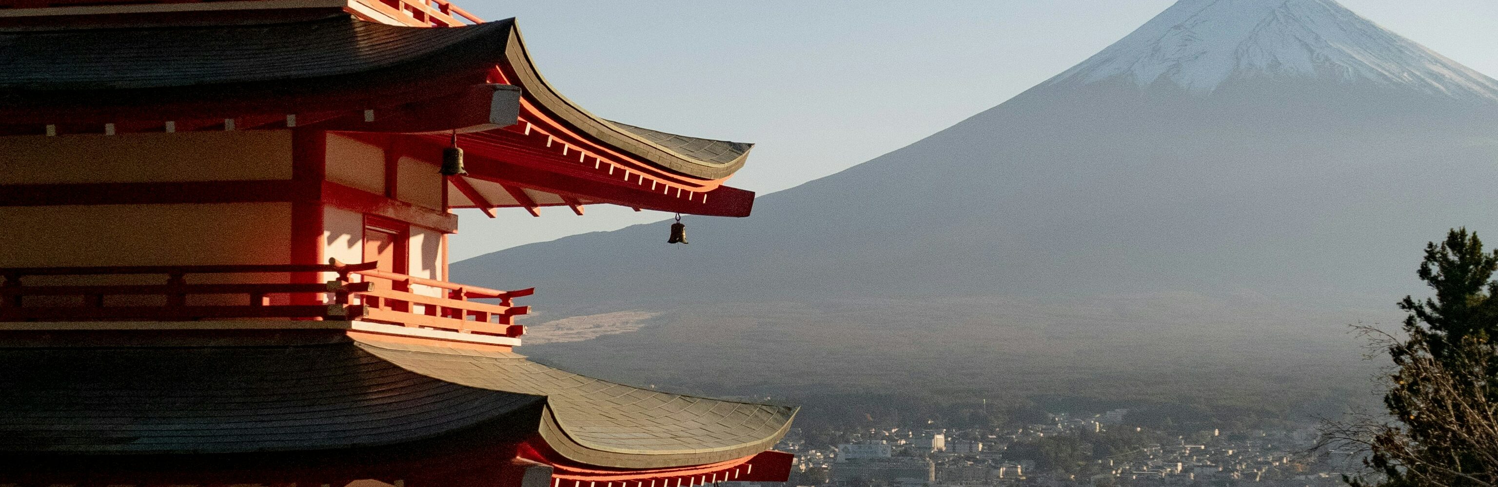 svetlana-gumerova-PMkQ7WVWqr0-unsplash Infrathérapie Iyashi Dôme